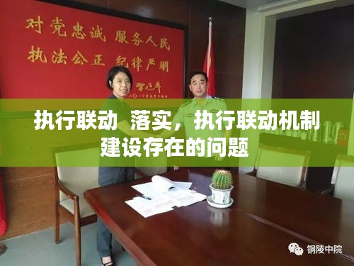 執(zhí)行聯(lián)動(dòng)  落實(shí)，執(zhí)行聯(lián)動(dòng)機(jī)制建設(shè)存在的問題 