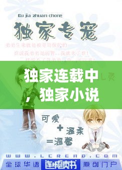 獨(dú)家連載中，獨(dú)家小說什么意思 