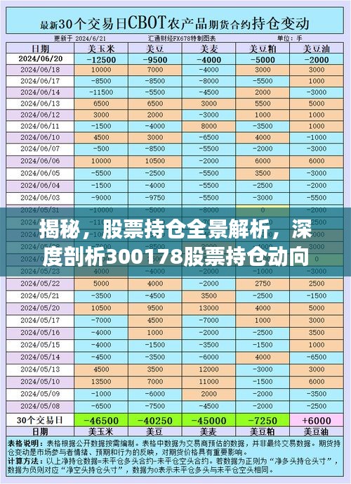 揭秘，股票持倉(cāng)全景解析，深度剖析300178股票持倉(cāng)動(dòng)向
