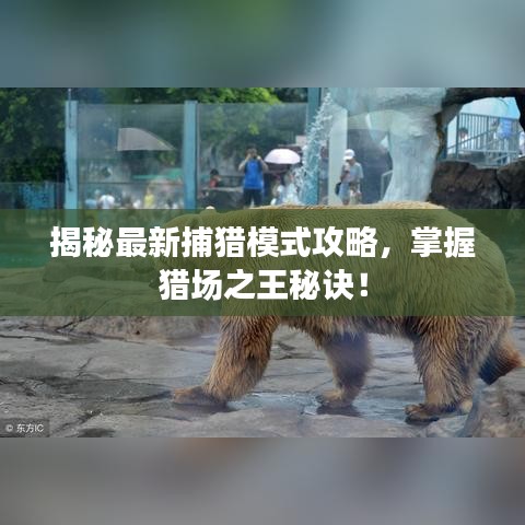 揭秘最新捕獵模式攻略，掌握獵場(chǎng)之王秘訣！