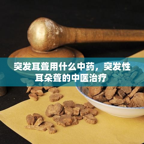 突發(fā)耳聾用什么中藥，突發(fā)性耳朵聾的中醫(yī)治療 