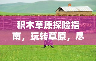 積木草原探險(xiǎn)指南，玩轉(zhuǎn)草原，盡享樂趣！
