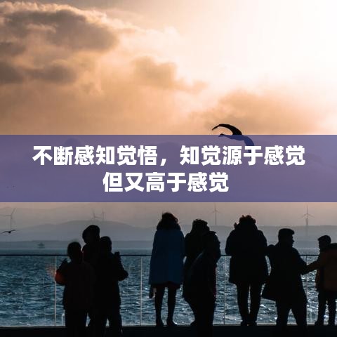 不斷感知覺(jué)悟，知覺(jué)源于感覺(jué)但又高于感覺(jué) 
