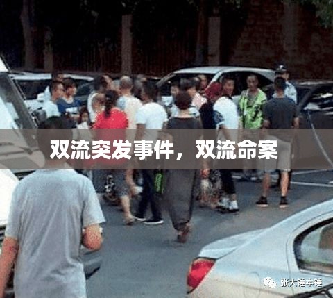 雙流突發(fā)事件，雙流命案 