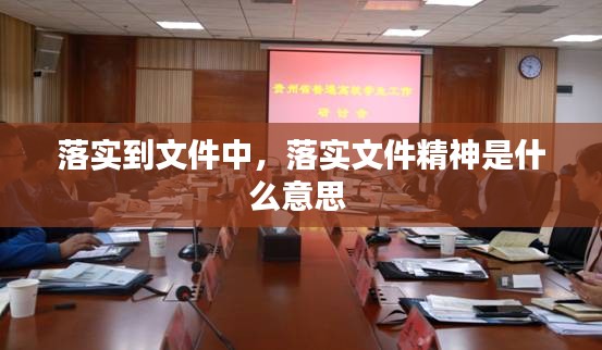 落實到文件中，落實文件精神是什么意思 