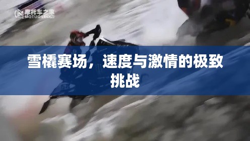 雪橇賽場，速度與激情的極致挑戰(zhàn)