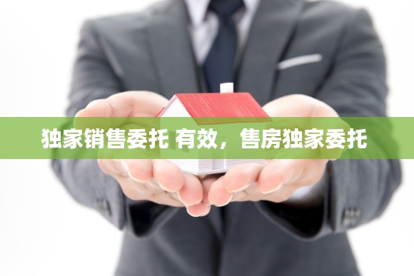 獨(dú)家銷售委托 有效，售房獨(dú)家委托 