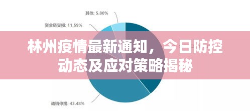 林州疫情最新通知，今日防控動(dòng)態(tài)及應(yīng)對策略揭秘
