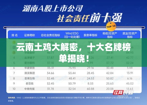 云南土雞大解密，十大名牌榜單揭曉！