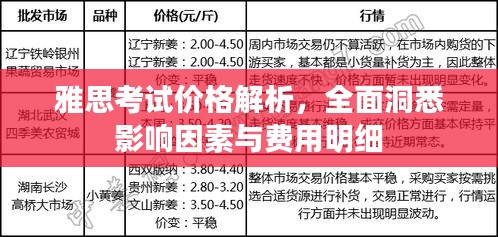 雅思考試價(jià)格解析，全面洞悉影響因素與費(fèi)用明細(xì)