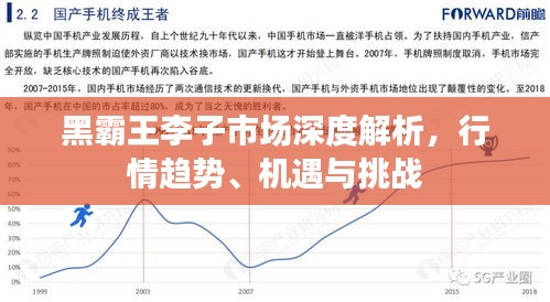黑霸王李子市場深度解析，行情趨勢、機遇與挑戰(zhàn)