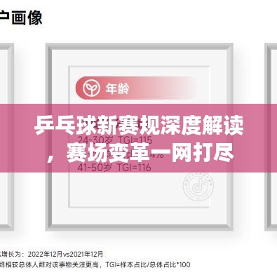 乒乓球新賽規(guī)深度解讀，賽場變革一網(wǎng)打盡