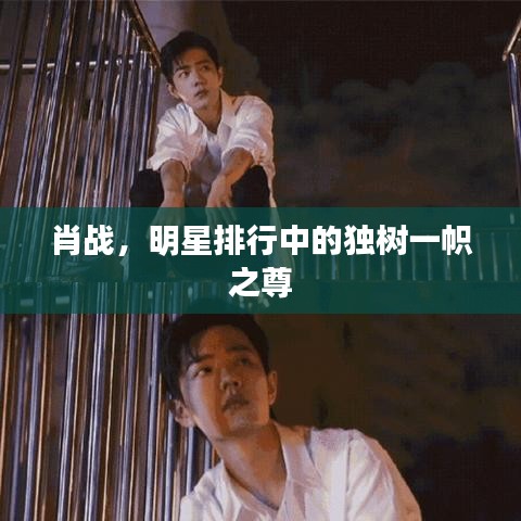肖戰(zhàn)，明星排行中的獨樹一幟之尊