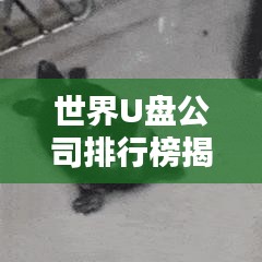 世界U盤公司排行榜揭曉，行業(yè)巨頭一覽無(wú)余！