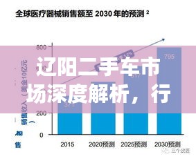 遼陽二手車市場深度解析，行情、趨勢與前景展望