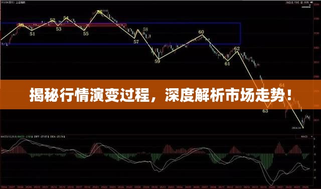 揭秘行情演變過程，深度解析市場走勢！