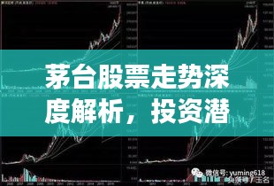 茅臺(tái)股票走勢(shì)深度解析，投資潛力與風(fēng)險(xiǎn)洞察