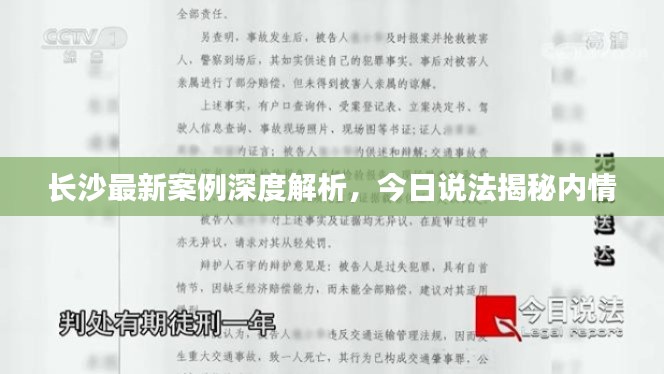 長沙最新案例深度解析，今日說法揭秘內(nèi)情