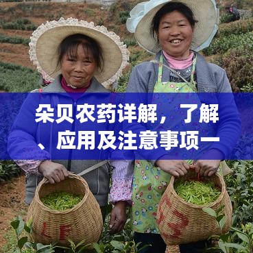 朵貝農(nóng)藥詳解，了解、應(yīng)用及注意事項(xiàng)一網(wǎng)打盡