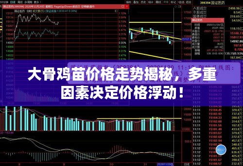 大骨雞苗價格走勢揭秘，多重因素決定價格浮動！