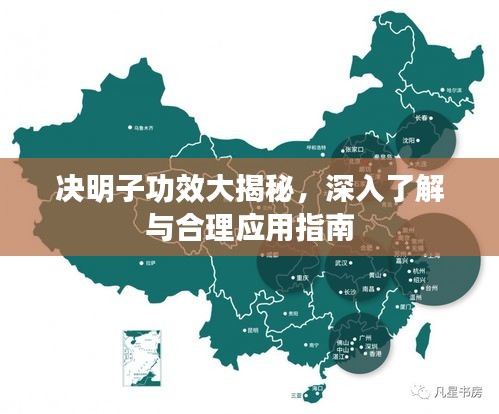 決明子功效大揭秘，深入了解與合理應(yīng)用指南