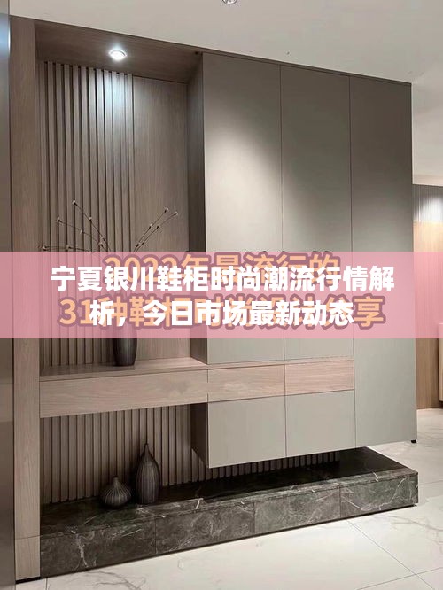 寧夏銀川鞋柜時尚潮流行情解析，今日市場最新動態(tài)