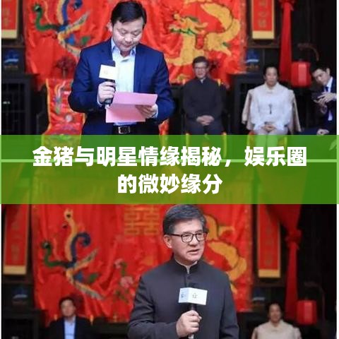金豬與明星情緣揭秘，娛樂圈的微妙緣分